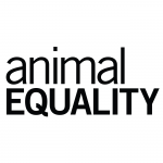 Animal Equality