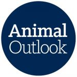 Animal Outlook