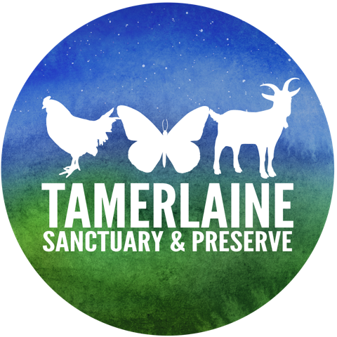 Tamerlaine Sanctuary & Preserve
