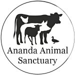 Ananda Animal Sanctuary